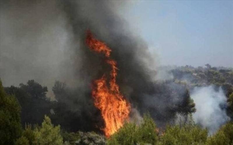 Πυρκαγιά σε δασική έκταση στη Μικροκώμη Δήμου Βόλβης