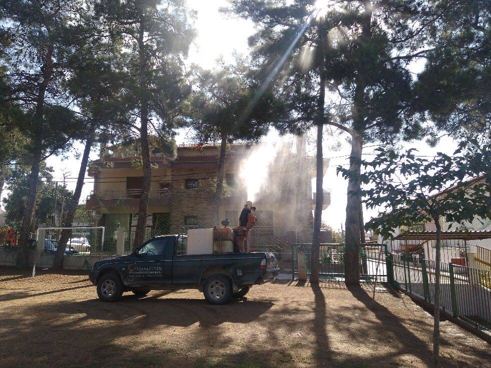 Ξεκίνησε η καταπολέμηση της πευκοκάμπιας στο αστικό περιβάλλον του δήμου Θέρμης