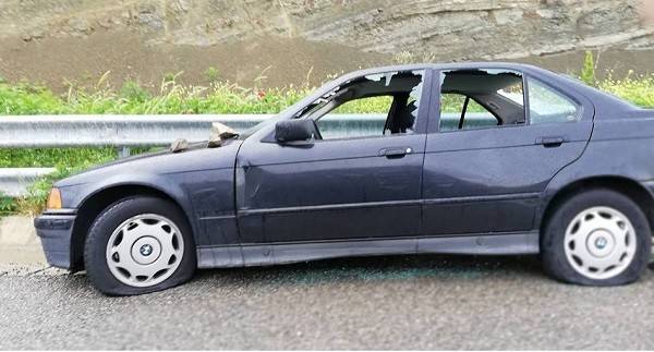 Νεκρή αρκούδα από τροχαίο στη Μεσοποταμία Καστοριάς