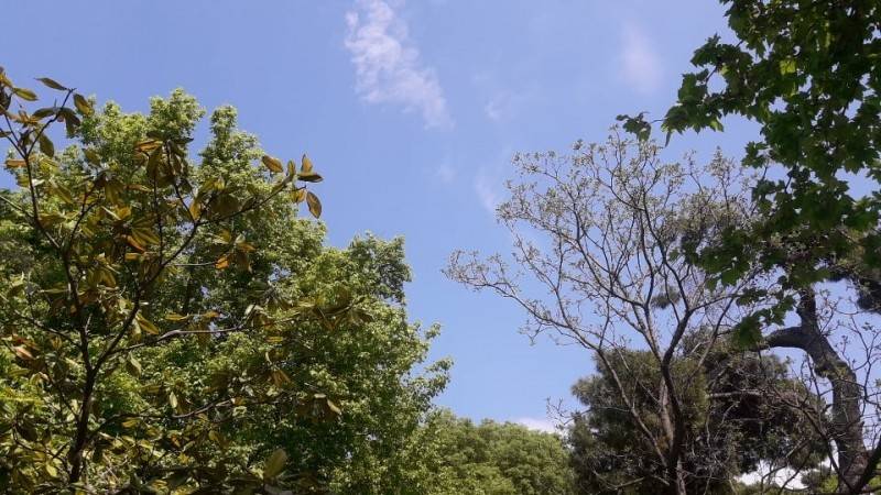 Δήμος Θεσσαλονίκης – Άθληση και Ψυχαγωγία στη Φύση στη Τρίτη ηλικία