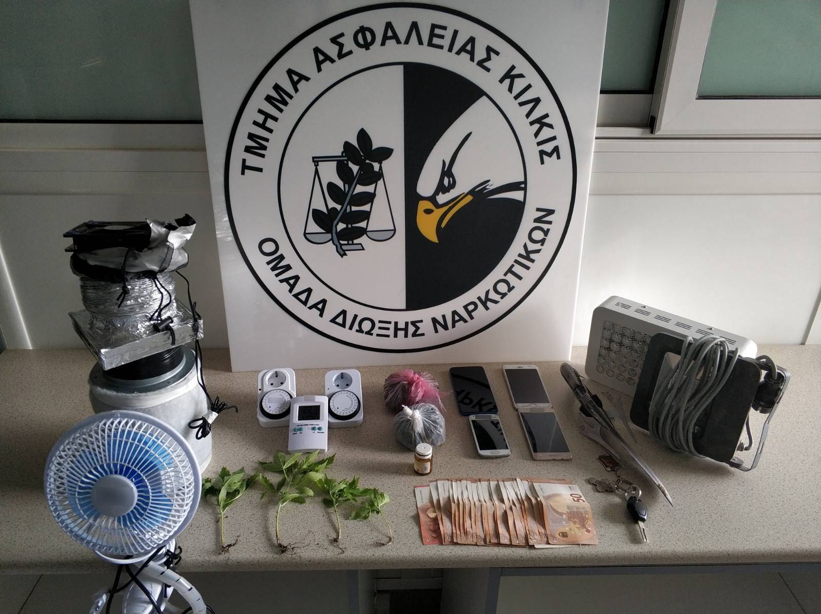 Πέλλα: Ραφιέρα έκρυβε δωμάτιο με εργαστήρι κάνναβης (Βίντεο)