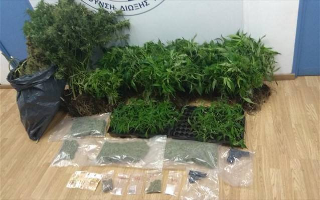 Περιστέρι: Διακινούσε χασίς υδροπονικής καλλιέργειας (ΒΙΝΤΕΟ)