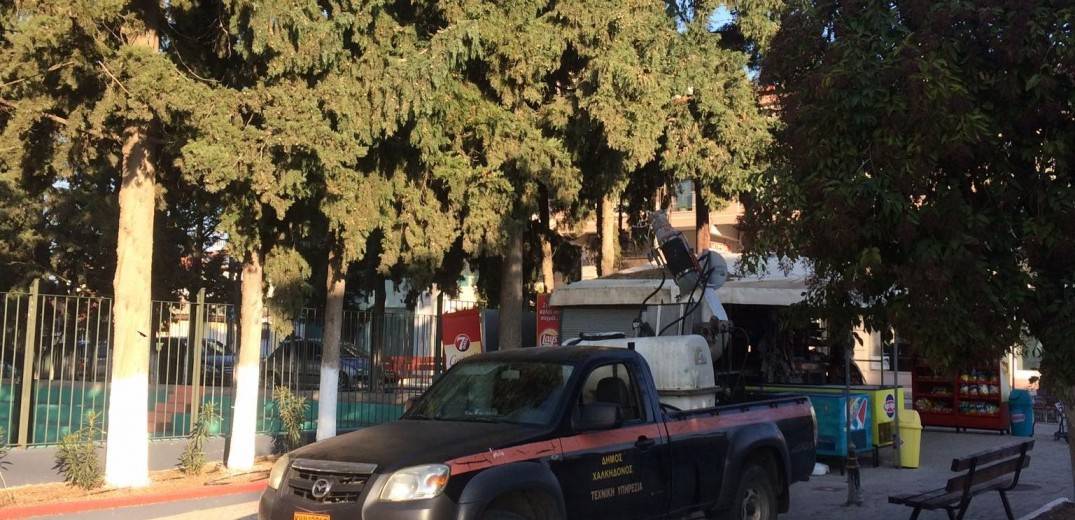Χαλκηδόνα: Ψεκασμοί σε σχολεία και αλσύλλια για την καταπολέμηση της κάμπιας των πεύκων