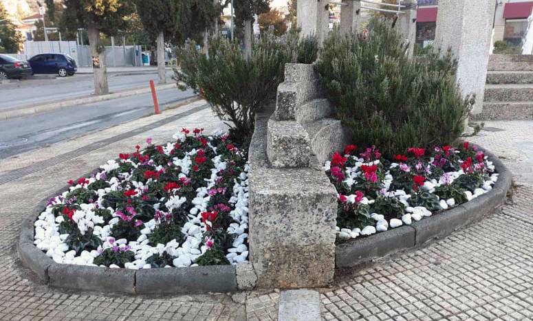 Μεγάλη αισθητική παρέμβαση του δήμου Νεάπολης-Συκεών με χιλιάδες φυτεύσεις που ομορφαίνουν τις γειτονιές και την καθημερινότητα των κατοίκων