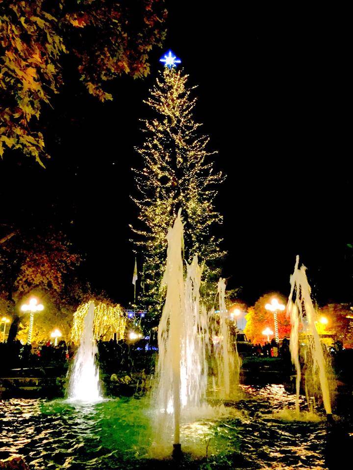 Δ. Τρικκαίων: Διαδικτυακά φέτος η φωταγώγηση του χριστουγεννιάτικου δέντρου