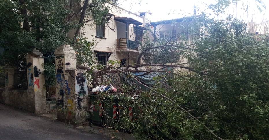 Πτώση δέντρου στη Θεσσαλονίκη λόγω του αέρα.