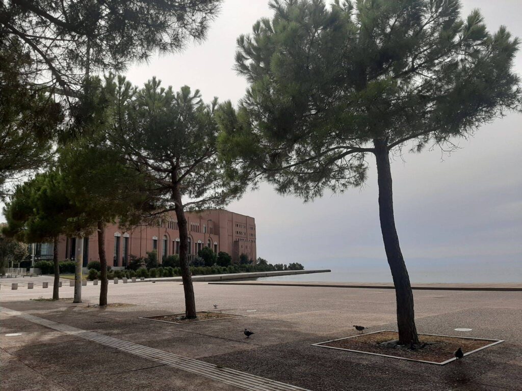 Συναυλίες-χριστουγεννιάτικοι ύμνοι από το ΜΜΘ προς τιμήν του υγειονομικού προσωπικού.