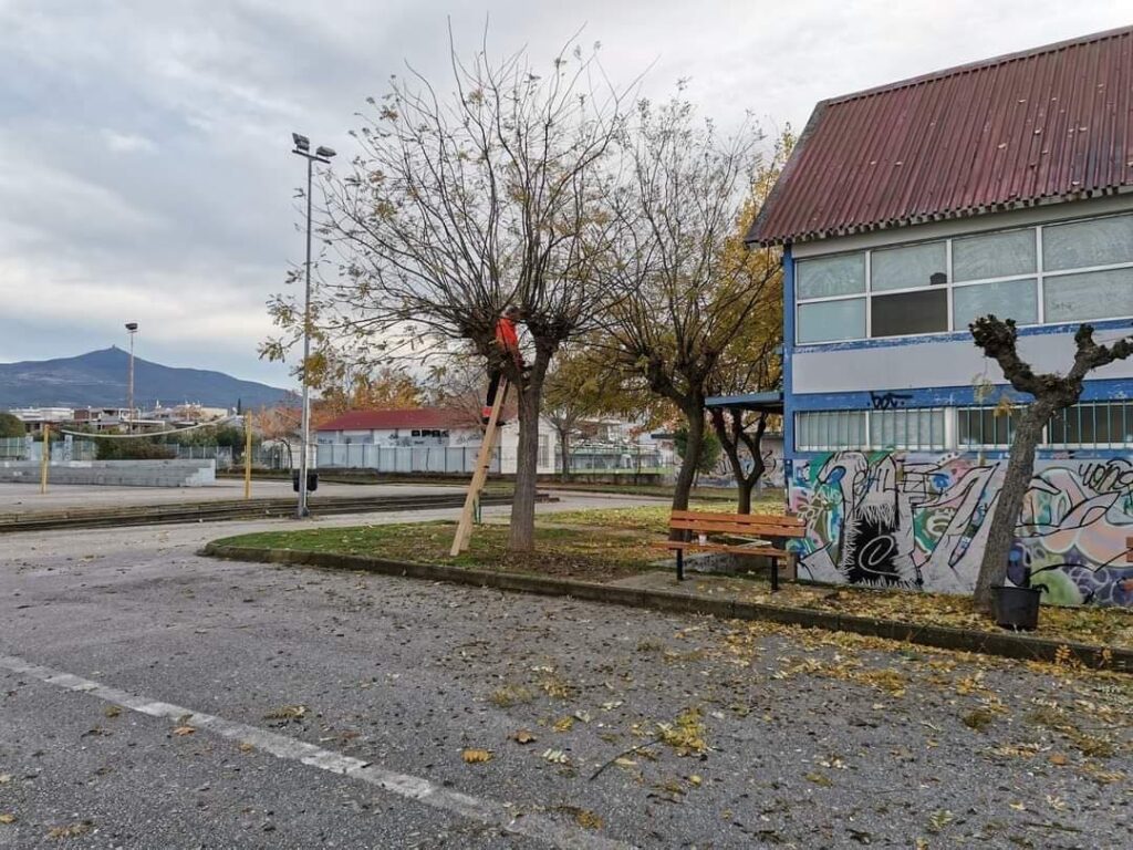 Κοπή ψηλών δέντρων και κλαδέματα σε Κοινότητες του δήμου Θέρμης.