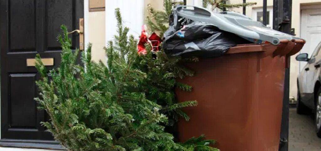 Ο Δήμος Καλαμαριάς ανακυκλώνει τα χριστουγεννιάτικα δέντρα για 2η χρονιά.