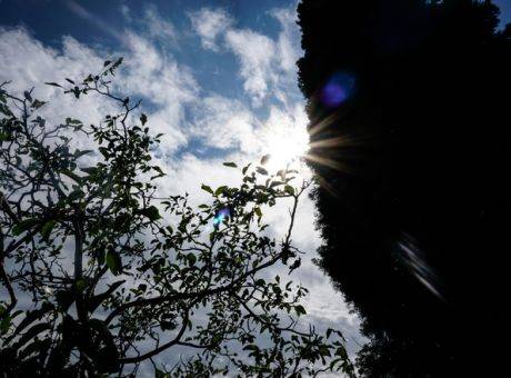 Καιρός: Άνοδος της θερμοκρασίας-Πού θα σημειωθούν βροχές