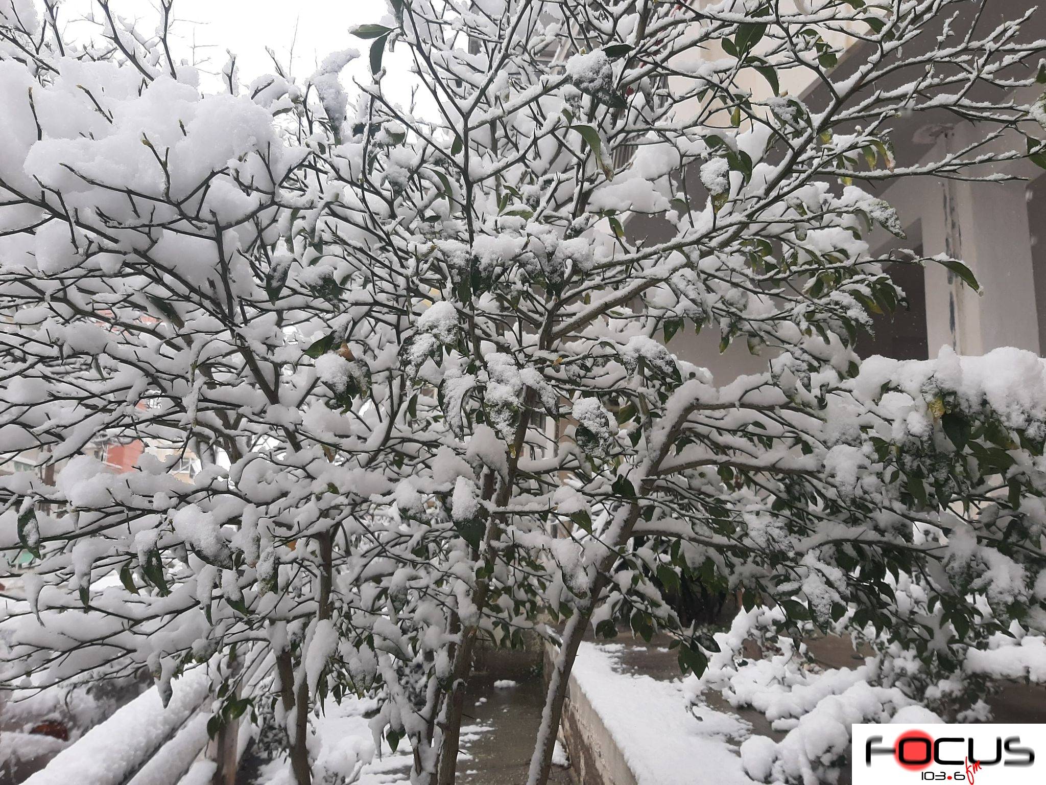 Καιρός : Η «Μήδεια» φέρνει σφοδρές χιονοπτώσεις -Βουτιά της θερμοκρασίας από απόψε το βράδυ