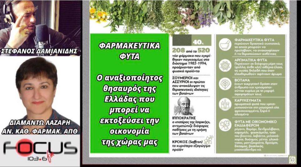 ΦΑΡΜΑΚΕΥΤΙΚΑ ΦΥΤΑ ΚΑΙ ΒΟΤΑΝΑ! Ο ΑΝΑΞΙΟΠΟΙΗΤΟΣ ΘΗΣΑΥΡΟΣ ΤΗΣ ΕΛΛΑΔΑΣ