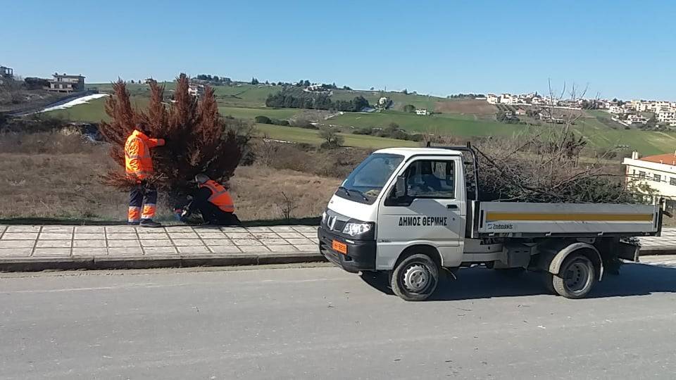 Τέλος στα επικίνδυνα δέντρα σε κοινότητες του δήμου Θέρμης.