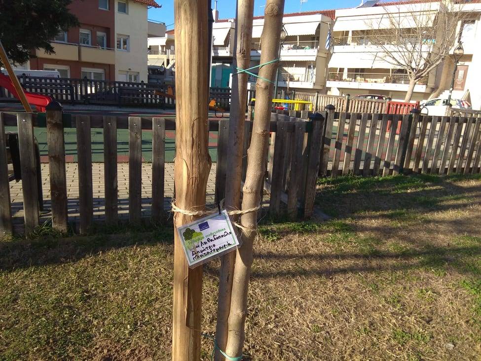 Θεσσαλονίκη: Εθελοντές πολίτες υιοθέτησαν δέντρα στις γειτονιές της Ευκαρπίας.