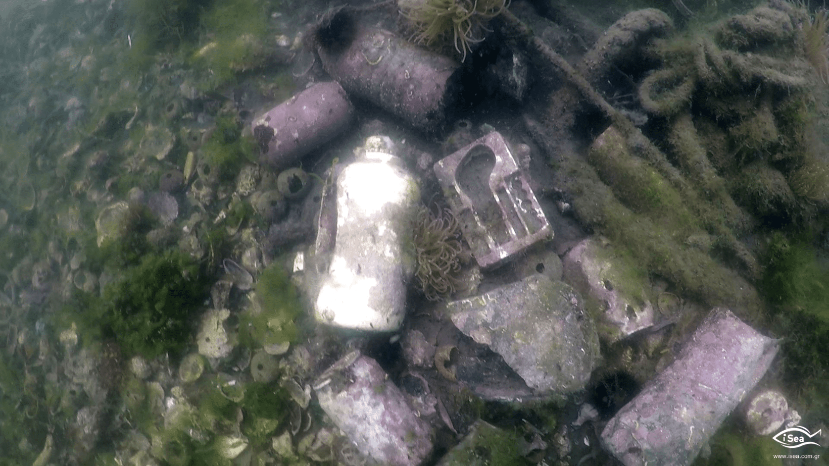 Χαλκιδική: Δράσεις καθαρισμού λιμανιών του δήμου Ν. Προποντίδας