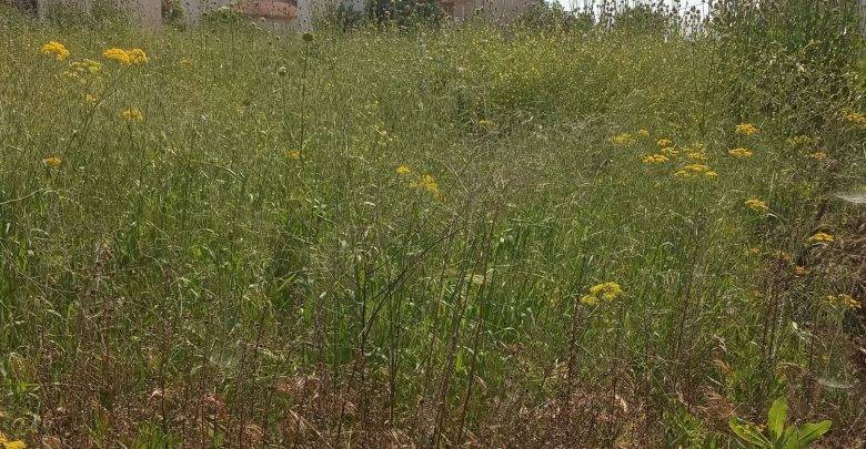 Ξεκινά ο καθαρισμός οικοπέδων στο δήμο Ωραιοκάστρου