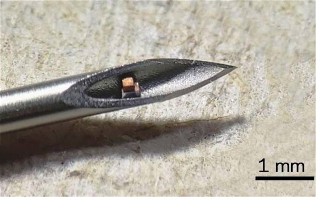 Δημιουργήθηκε τσιπ που εισάγεται στο σώμα μέσω ένεσης – μικρό σαν κόκκο σκόνης και ορατό μόνο με μικροσκόπιο!