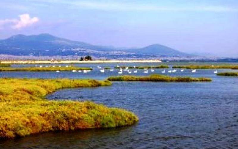 Δικογραφία σε βάρος διοικητή μεγάλου νοσοκομείου της Θεσσαλονίκης για περιβαλλοντική ρύπανση