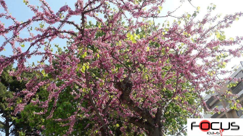 Καλοκαιρινός σήμερα ο καιρός-Εως τους 33 βαθμούς η θερμοκρασία