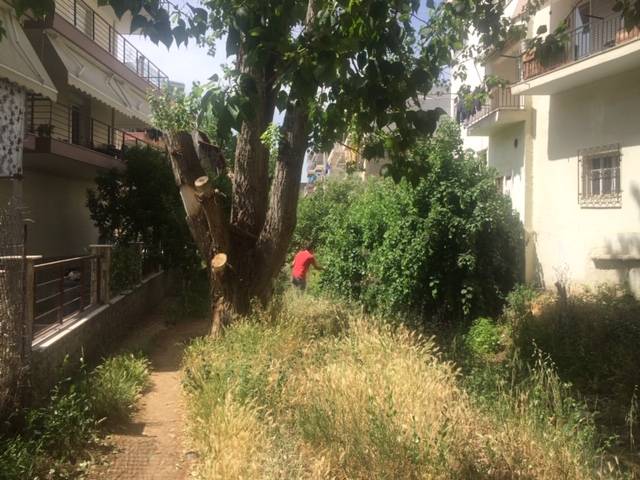 Πρόγραμμα καταπολέμησης των κουνουπιών στο δήμο Παύλου Μελά