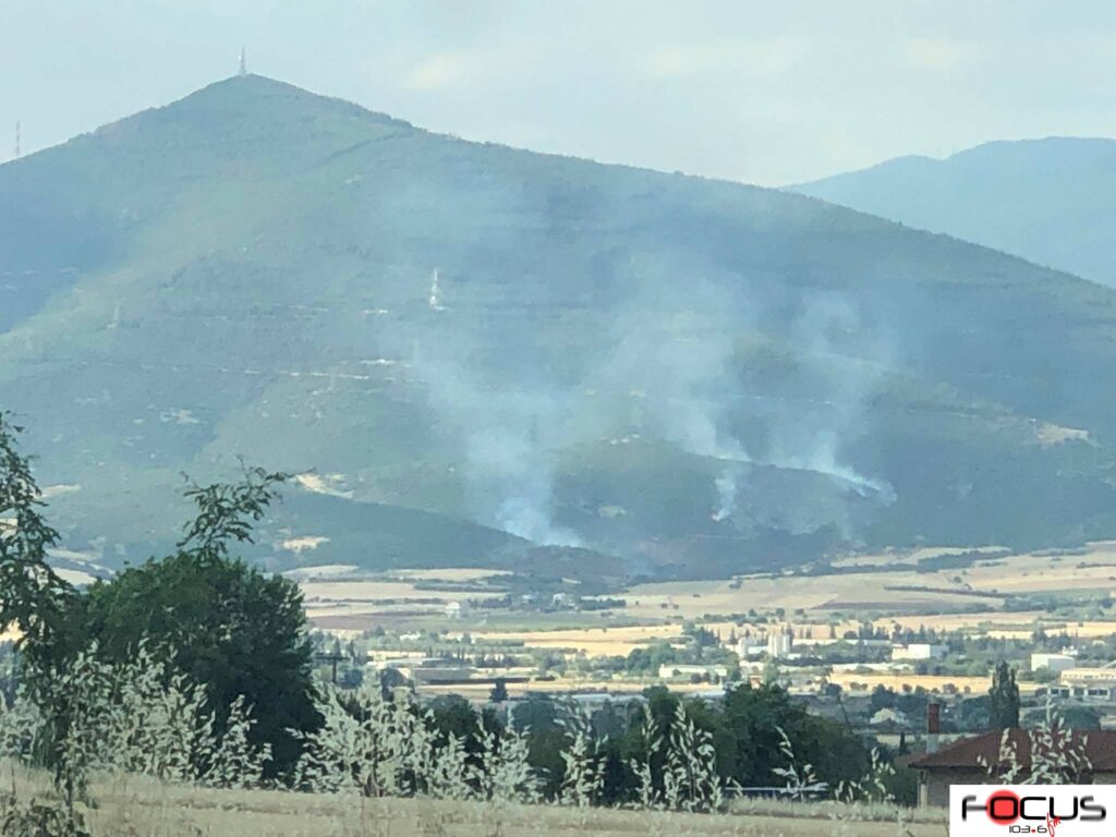 Φωτιά στη Θεσσαλονίκη: Στη μάχη της κατάσβεσης και Canadair – ΒΙΝΤΕΟ – Focus FM