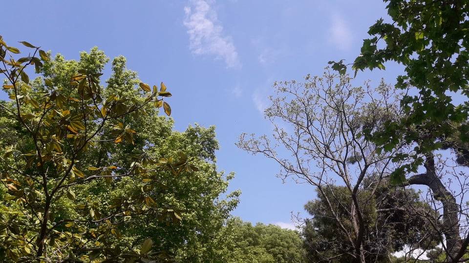 Καύσωνας προ των πυλών: Πού πλησίασε το θερμόμετρο σήμερα τους 40 βαθμούς Κελσίου