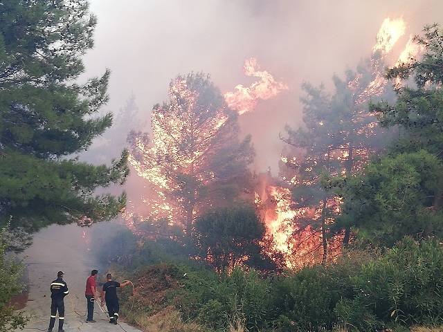 Υπό πλήρη έλεγχο η πυρκαγιά στη Σάμο