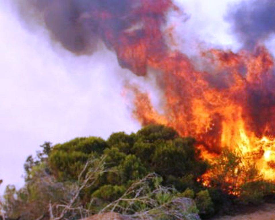 Κίνδυνος πυρκαγιάς σήμερα σε Θεσσαλονίκη και Χαλκιδική λόγω πολύ υψηλών θερμοκρασιών