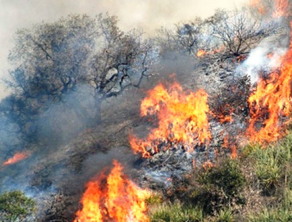 Πάνω από 3.000 στρέμματα η πρώτη δορυφορική εκτίμηση των καμένων περιοχών στην Αχαΐα