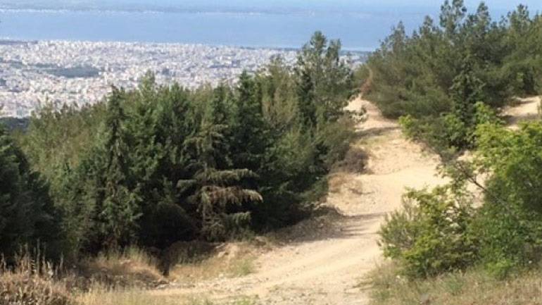 Λόγω κινδύνου πυρκαγιάς απαγόρευση κυκλοφορίας στο Σέιχ Σου και στο Δασόκτημα Ωραιοκάστρου