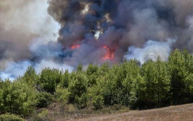 Μηνύματα του 112 για εκκένωση της Ελαίας Φωκίδας λόγω δασικής πυρκαγιάς