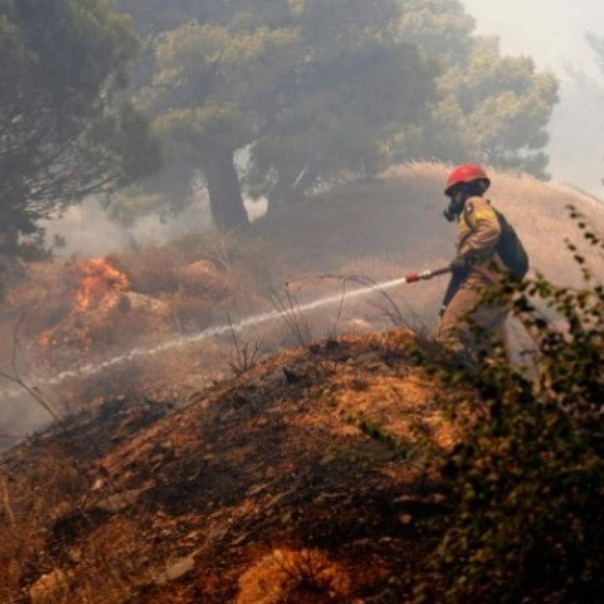 Τεράστιο μέτωπο φωτιάς στο Παλαιοχώρι – Εγκαταλείπουν οι κάτοικοι