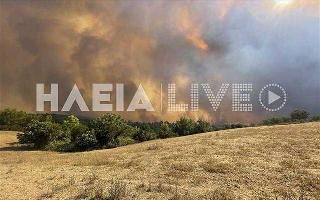 Ηλεία: Μεγάλο πύρινο μέτωπο στην περιοχή Νεμούτα