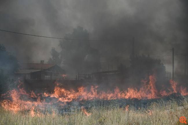 Χαλκιδική: Υψηλός ο κίνδυνος πυρκαγιάς και αύριο