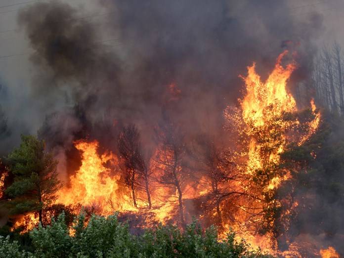 Πολύ υψηλός κίνδυνος πυρκαγιάς και αύριο σε Εύβοια, Αττική, Ηλεία και άλλες 5 περιφέρειες