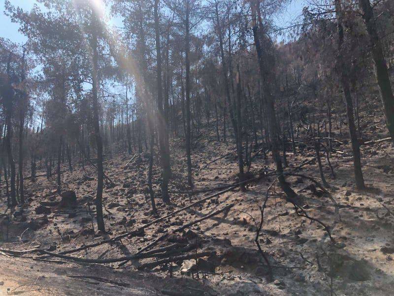 Oικονομική ενίσχυση 6.000 ευρώ σε όσους τραυματίστηκαν στις πυρκαγιές του καλοκαιριού