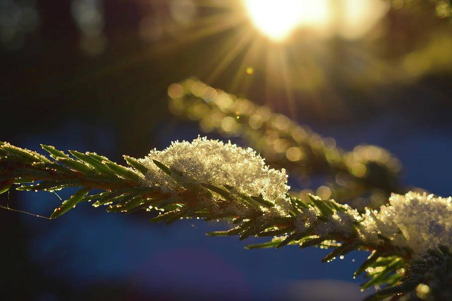Καιρός: Χαμηλές θερμοκρασίες και σήμερα- Καλός ο καιρός τις ημέρες των Χριστουγέννων