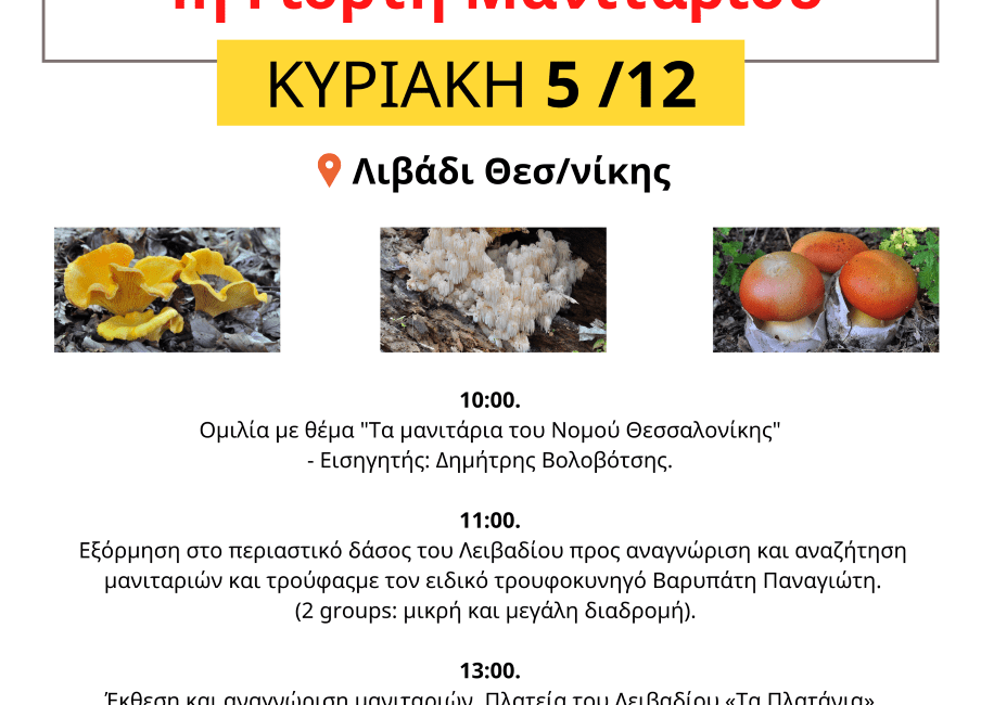 Η γιορτή του μανιταριού, την Κυριακή 5 Δεκεμβρίου στο Λιβάδι του δήμου Θέρμης