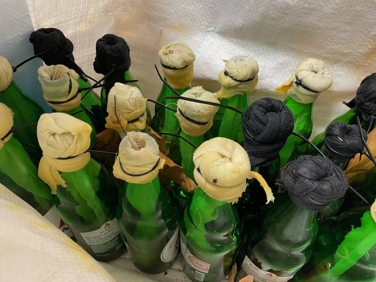 Θεσσαλονίκη: Βρέθηκαν 19 βόμβες μολότοφ σε εξωτερικό χώρο του ΑΠΘ - ΦΩΤΟ