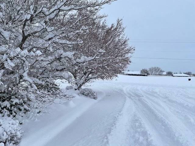 Καιρός: Επέλαση της κακοκαιρίας “Διομήδης” με ισχυρές βροχές και χιόνια σε όλη τη χώρα