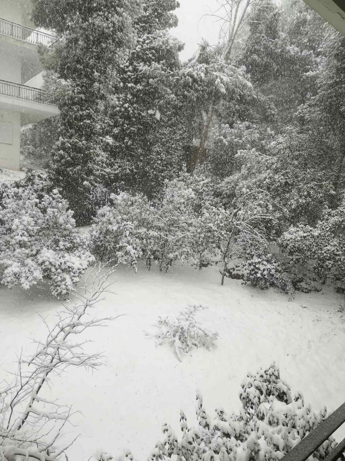 Πολικές θερμοκρασίες στη Στερεά Ελλάδα - Χωρίς ρεύμα πολλές περιοχές της Εύβοιας- Προβλήματα και στην Κρήτη