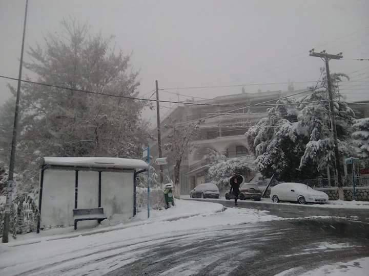 Διακοπή κυκλοφορίας λόγω καιρικών συνθήκών στις επαρχιακές οδούς Χορτιάτη – Αγίου Βασιλείου και Μελισοχωρίου – Ωραιοκάστρου
