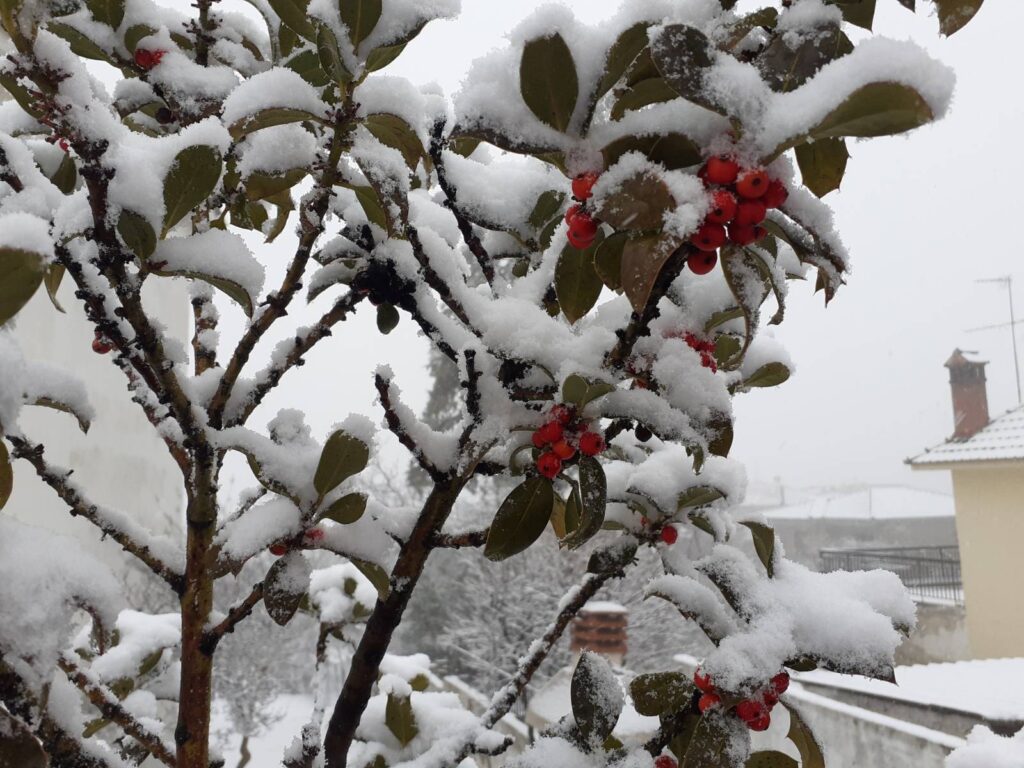 Στα “λευκά” ο Χορτιάτης! Φωτογραφίες – Focus FM