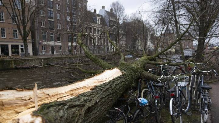 Ολλανδία-καταιγίδα Γιούνις: Δύο νεκροί από πτώσεις δέντρων