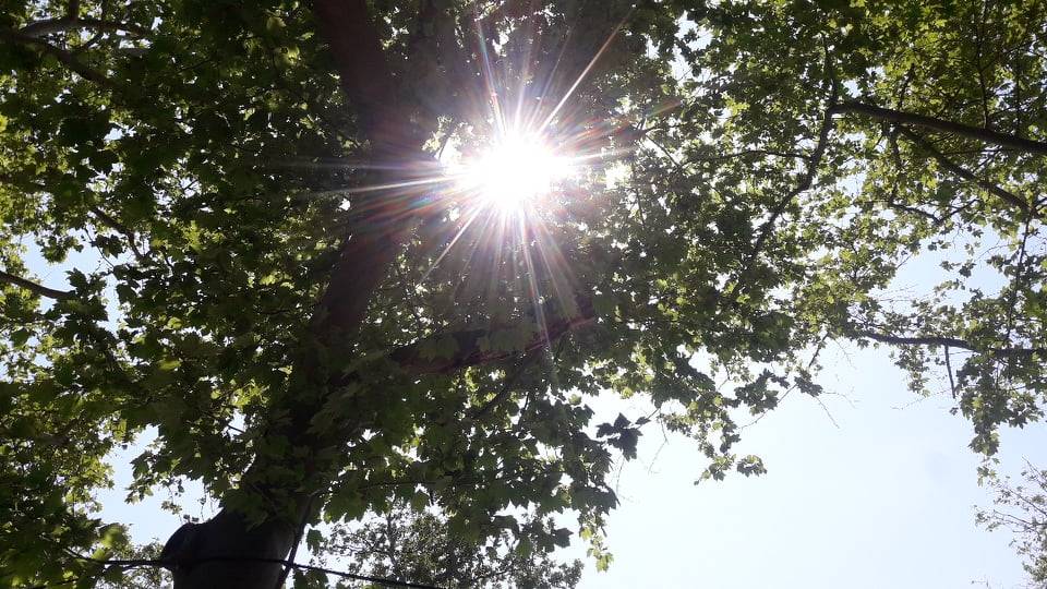 Ηλιοφάνεια αύριο στο μεγαλύτερο μέρος της χώρας με άνοδο της θερμοκρασίας