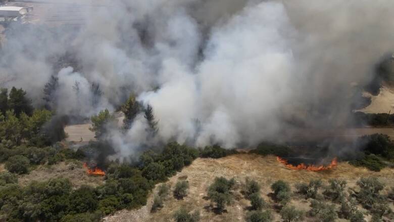 ΤΩΡΑ: Μεγάλη φωτιά στο Καλαμάκι Μεσσηνίας