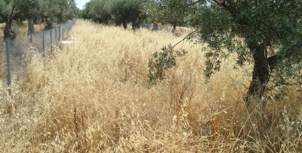 Δήμος Θέρμης: Καθαρισμός οικοπέδων ως 30 Απριλίου, προβλέπονται υψηλά πρόστιμα
