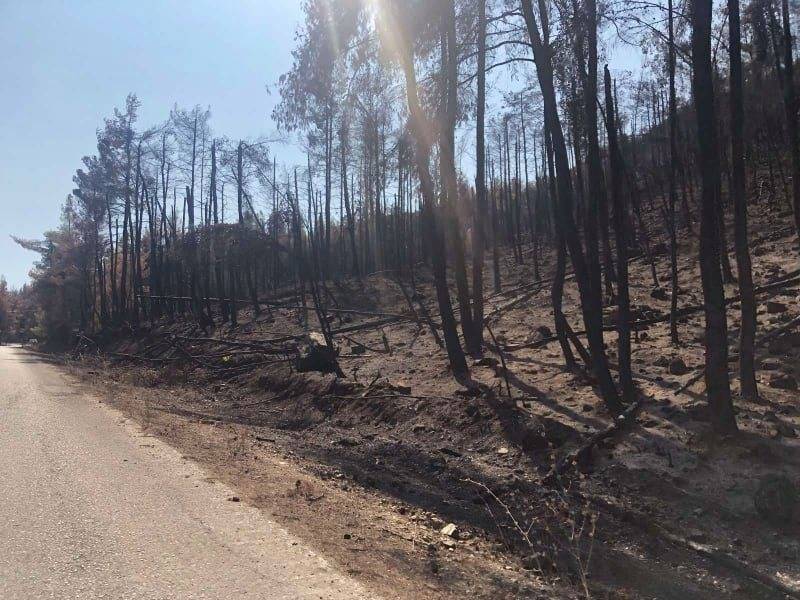 ΒΙΝΤΕΟ: "Το Σχέδιο" Βόρεια Εύβοια - Πως και γιατι κάηκε