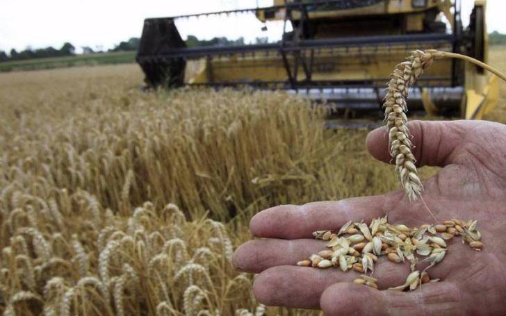 ΟΗΕ: Κίνδυνος για παγκόσμια επισιτιστική κρίση «για χρόνια»