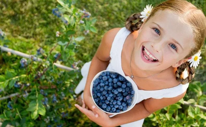 Souper foods: Πως ωφελούν τα μύρτιλα τον οργανισμό μας